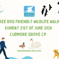 Guided Wildlife Walk at Cudmore Grove Country Park