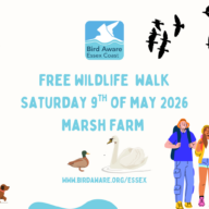 Free Wildlife Walk at Marsh Farm Country Park with Bird Aware
