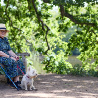 4 shaded summer strolls at Essex Country Parks
