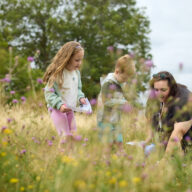 Hadleigh Country Park and Salvation Army: Big Butterfly Count and Craft