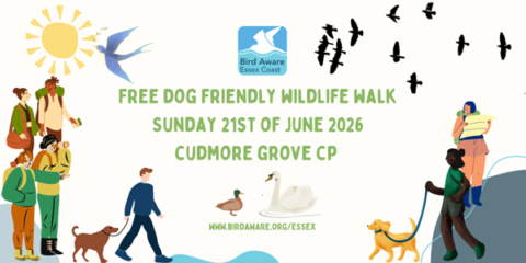 Cudmore Grove Walk