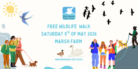 Marsh Farm