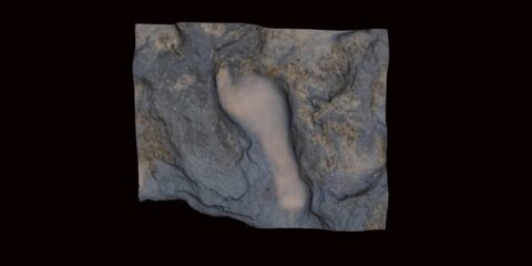 Prehistory