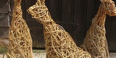 Sitting hare