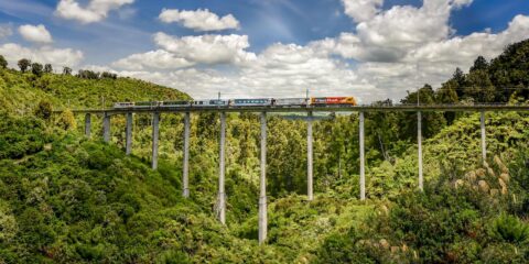 North island